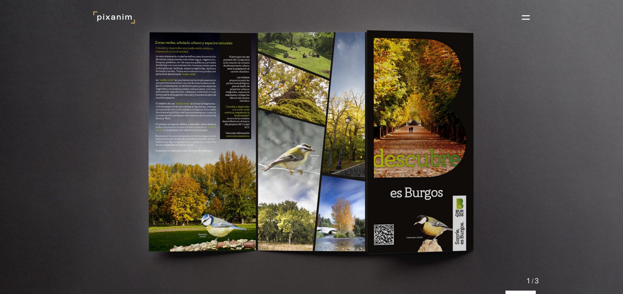 NUEVA web 2025 – pixanim.es